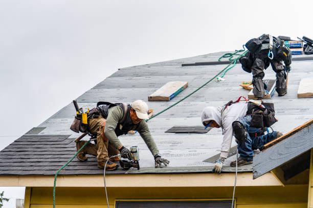 Professional Storm Damage Roof Repair technician working in Newcastle, OK